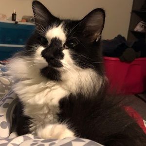 Meet your Posher, Sara